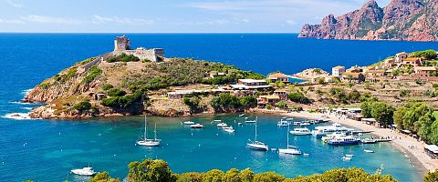 Figari